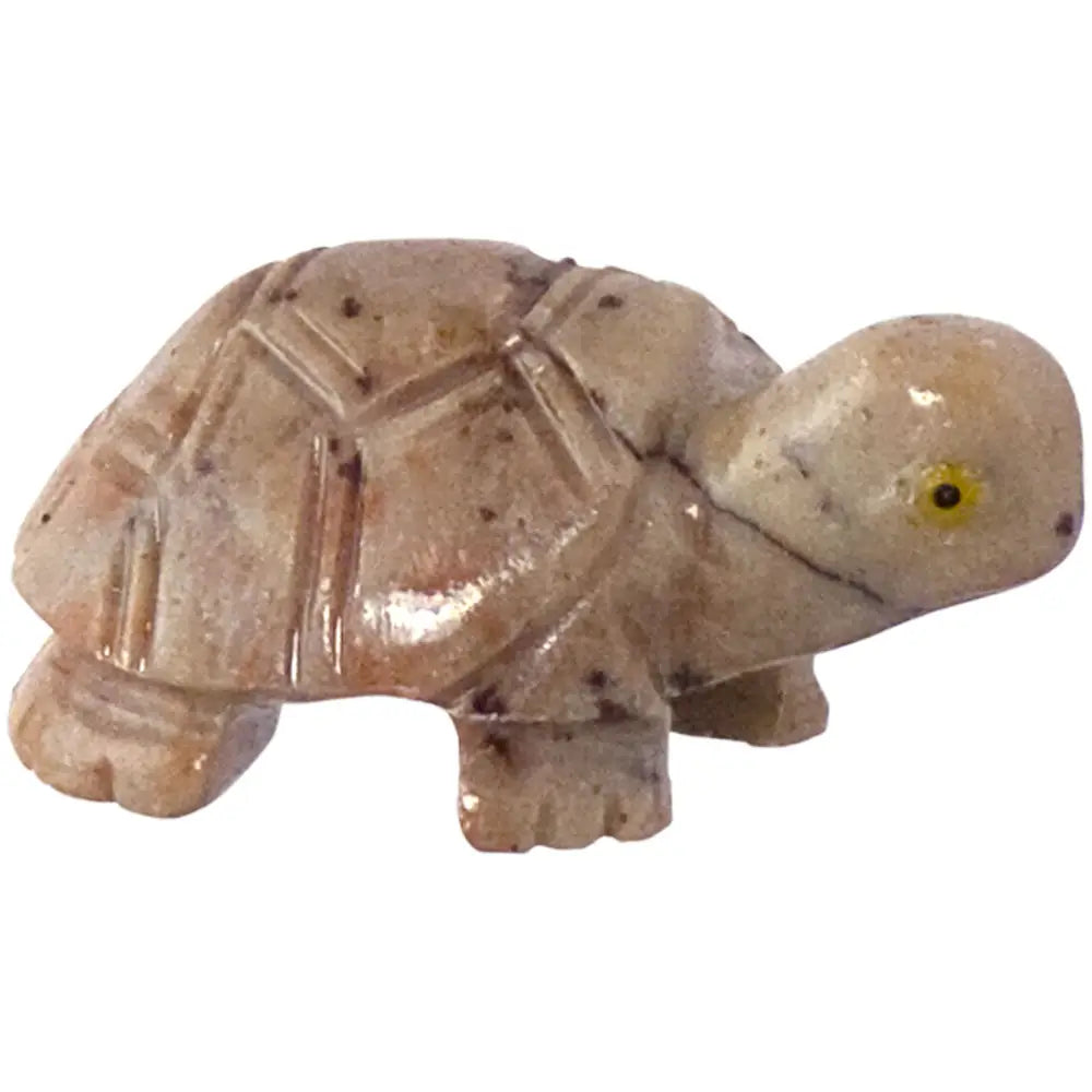 Turtle Dolomite