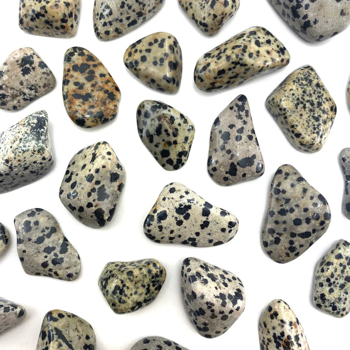 Dalmatian Stone