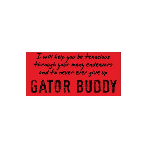 Gator Buddy - Watchover Voodoo Dolls - Keychain