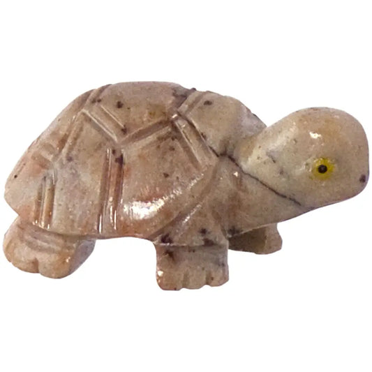 Turtle Dolomite