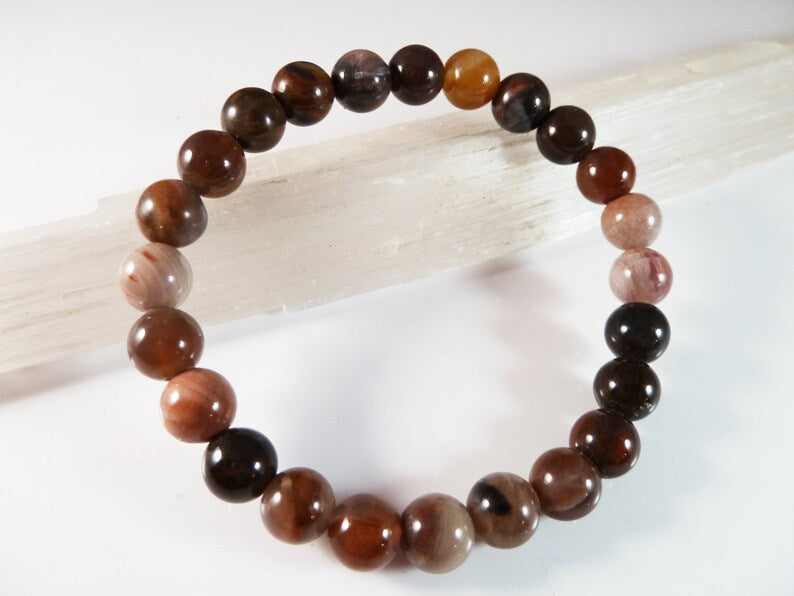 Petrified Wood- Stabilizing Emotions