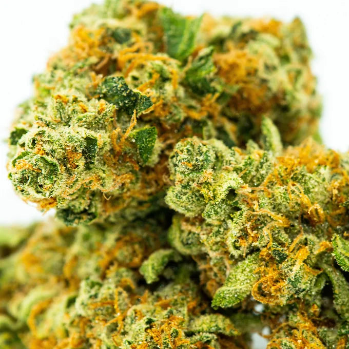 Nebraska Blossom Prerolls