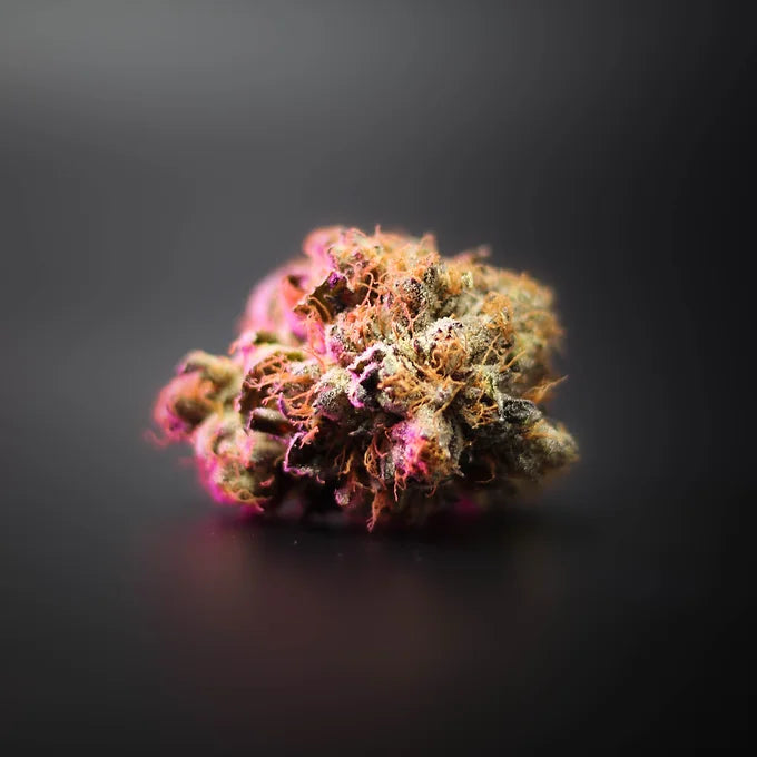 Nebraska Blossom Prerolls